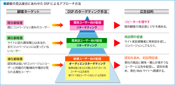 DSPによるアプローチ方法拡大図